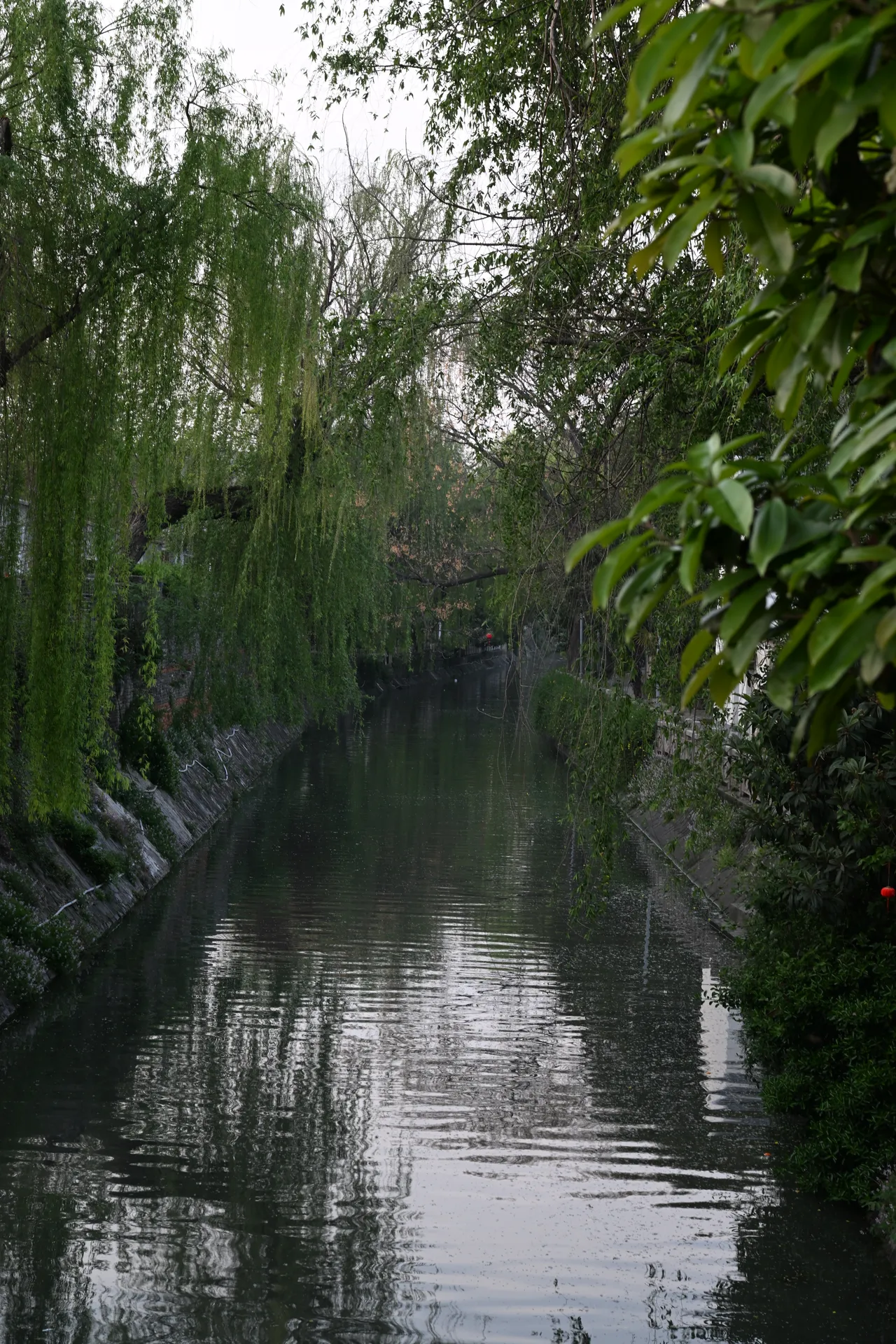 扬州 · 55